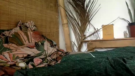 coconanacam  01-02-2022